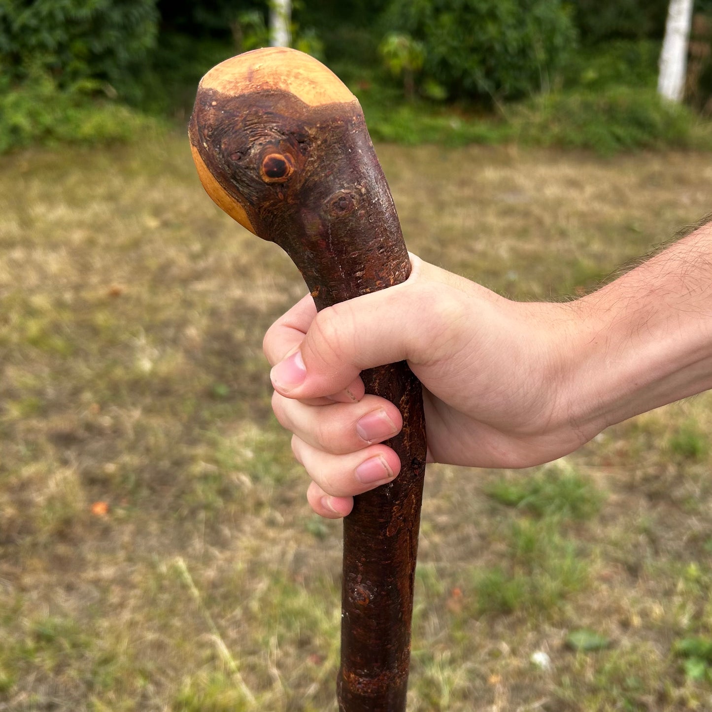 Chunky Blackthorn Shillelagh Knob Stick – 92.7 cm (36.5”)