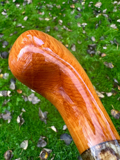Hazel Walking Stick with Spalted Yew Head – 37.5”