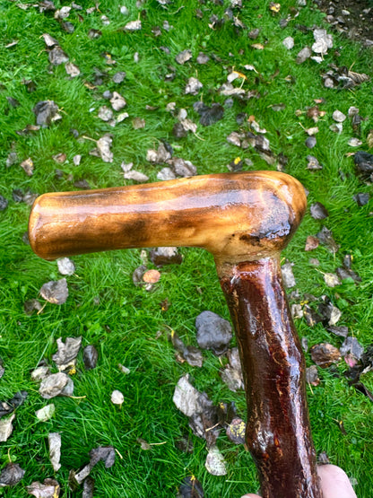 Irish Blackthorn Walking Stick with L Handle – 38”