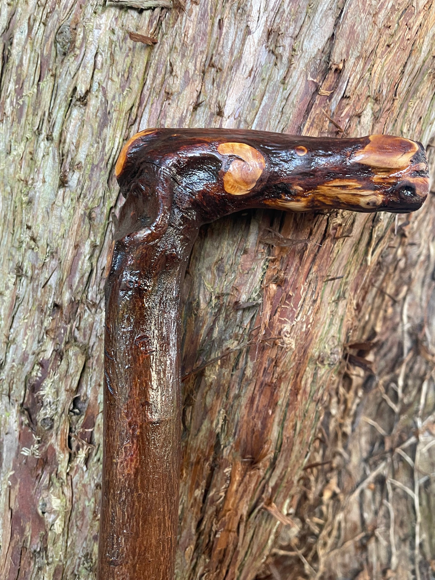 Blackthorn walking stick with L Handle