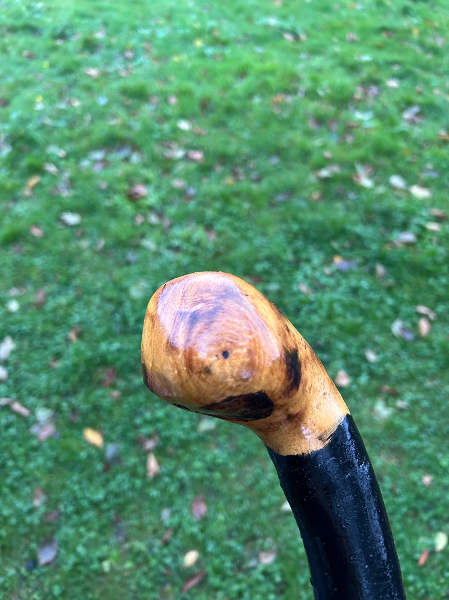 Black-Painted Whitethorn Walking Stick with Round Head – 95 cm