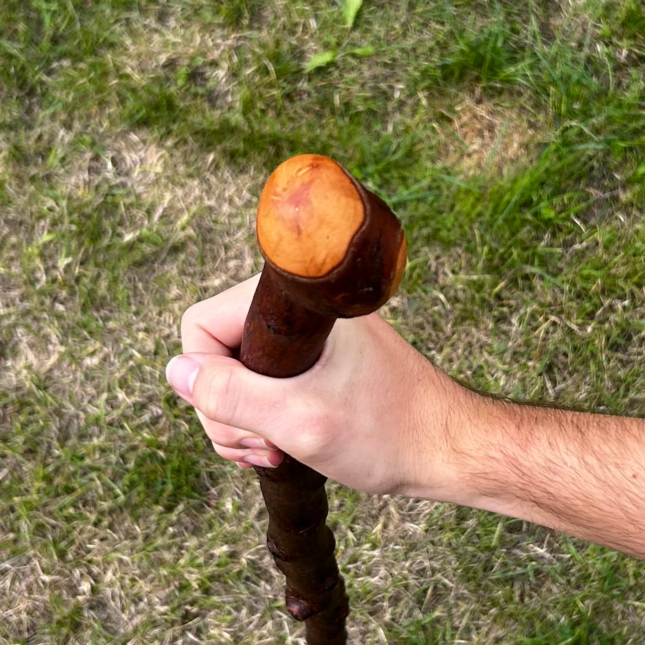 Blackthorn Shillelagh Knob Stick with Shoulder – 91 cm (35.8”)