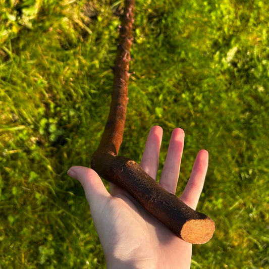 Blackthorn Walking Stick with 45° L Handle – 90 cm (35.4”)