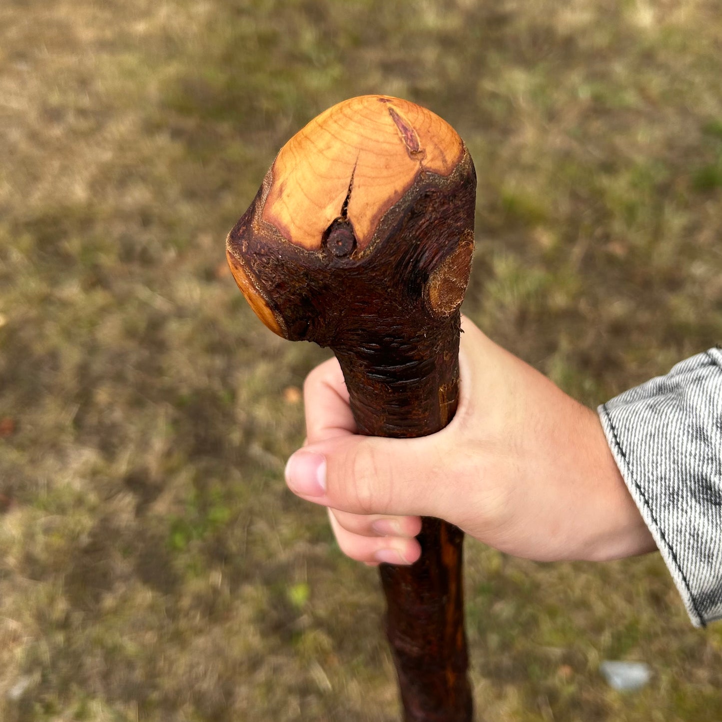 Large Chunky Knob Blackthorn Shillelagh – 93.5 cm (36.8”)