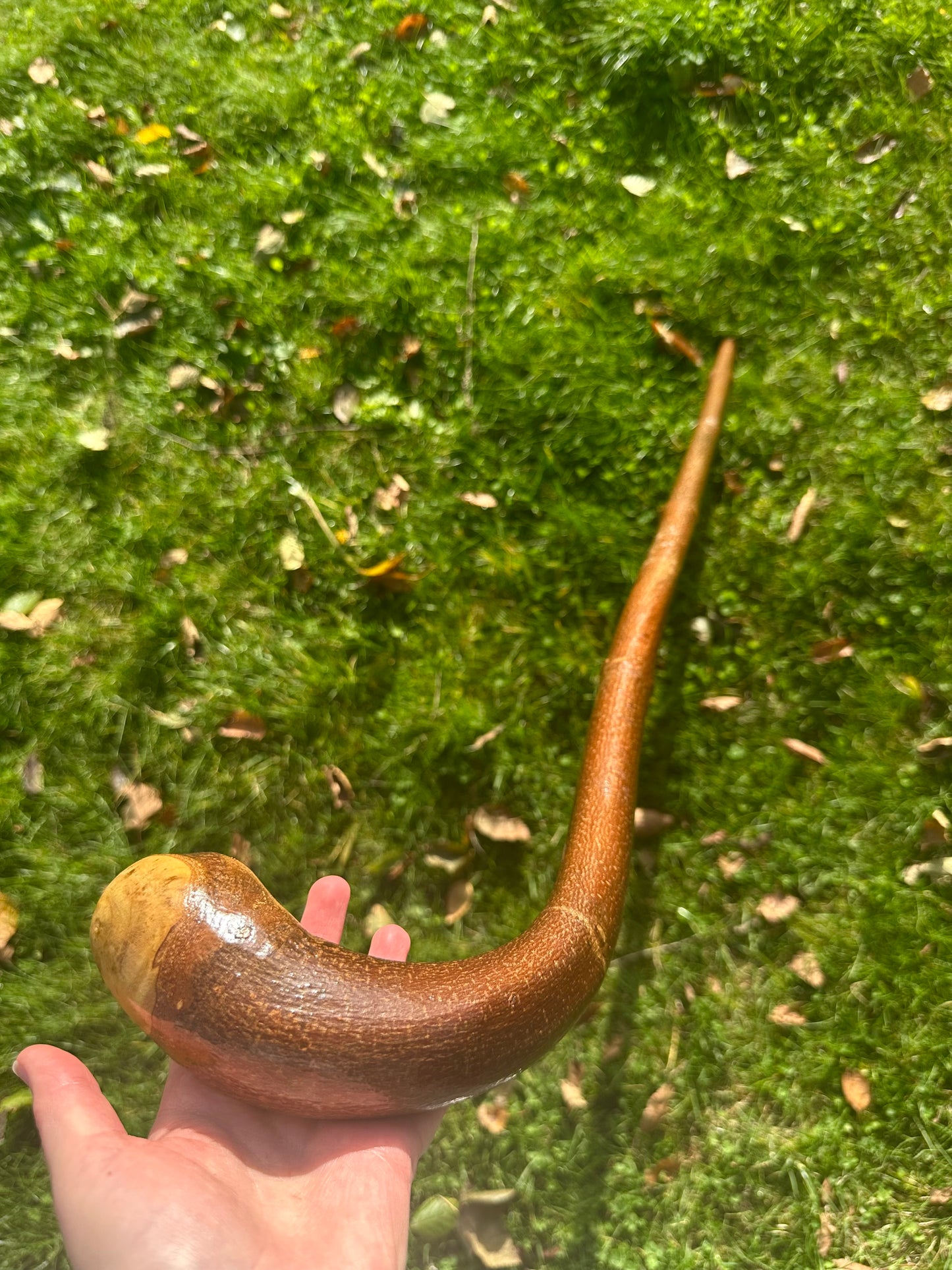 Hazel Walking Stick with L Handle - 103 cm / 40.5 inches