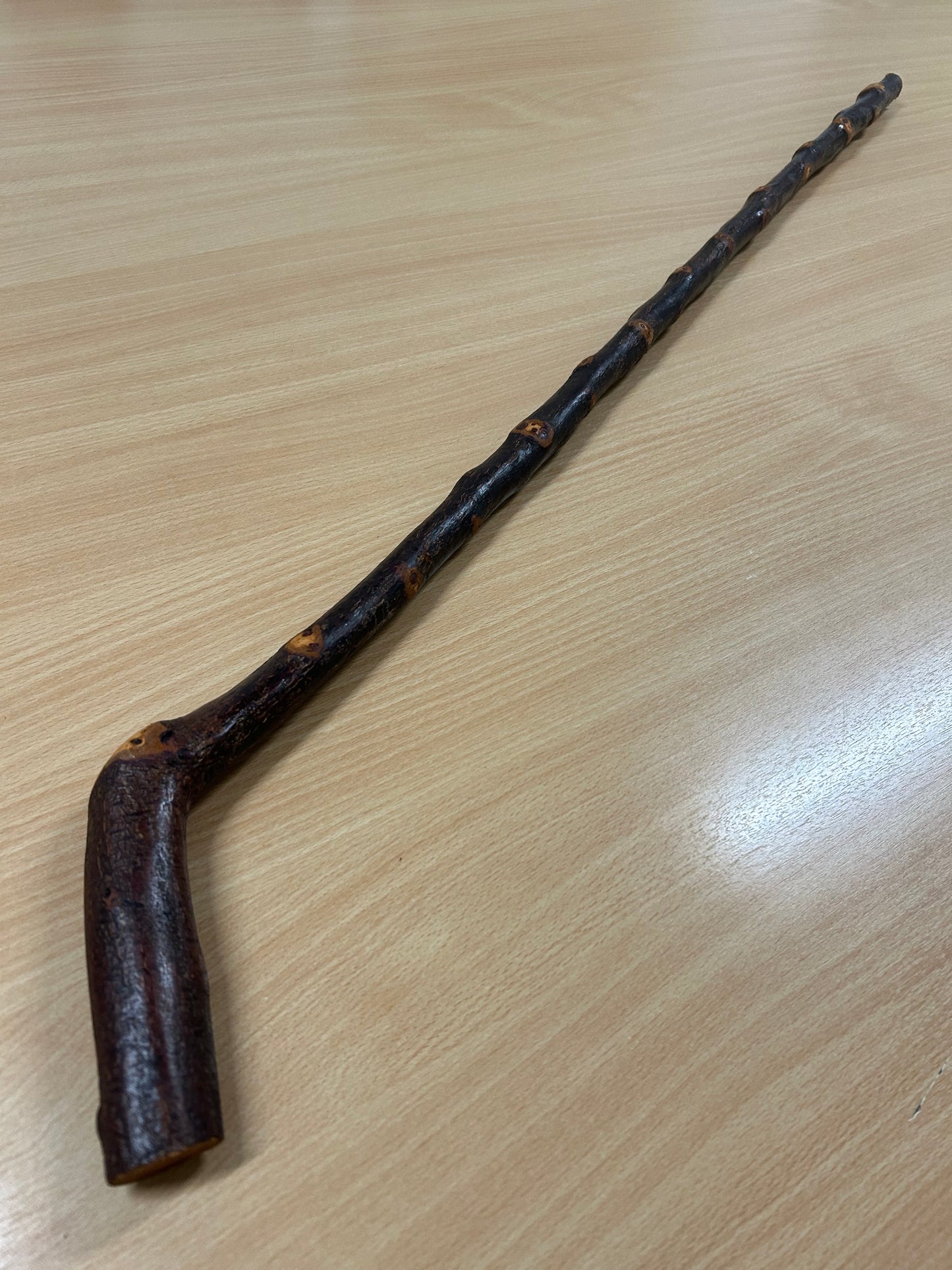Bumpy Blackthorn Walking Stick with Sloped L Handle – 102cm