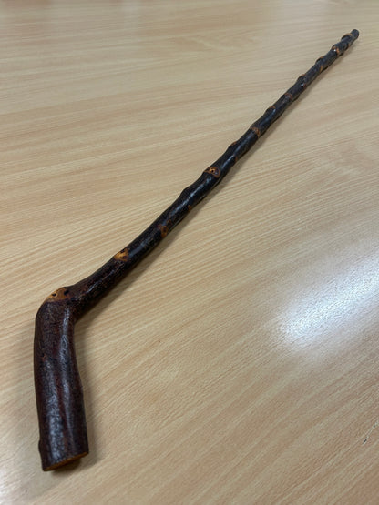 Bumpy Blackthorn Walking Stick with Sloped L Handle – 102cm