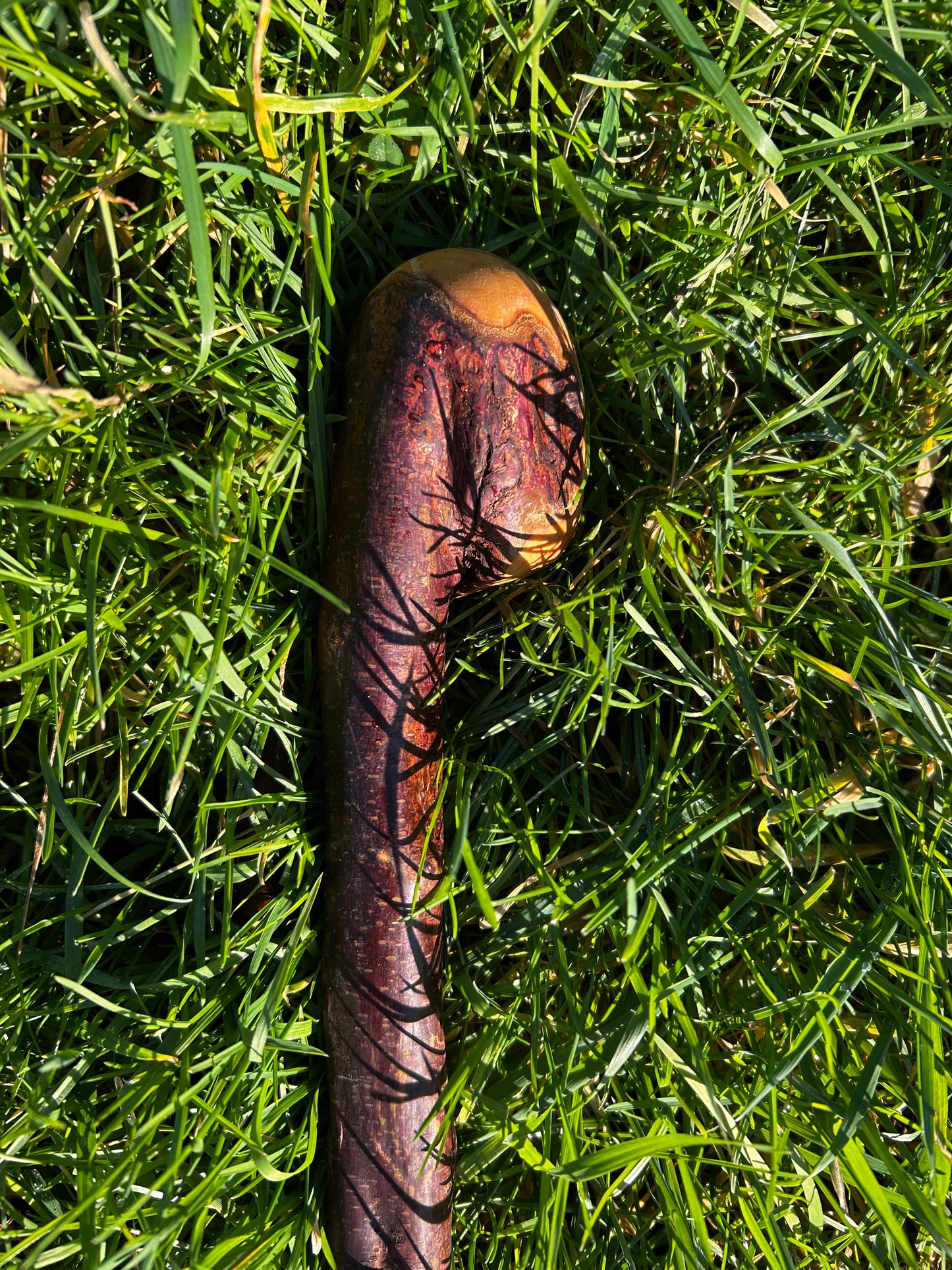 Blackthorn Shillelagh with Large Curved Handle – 100 cm (39”)