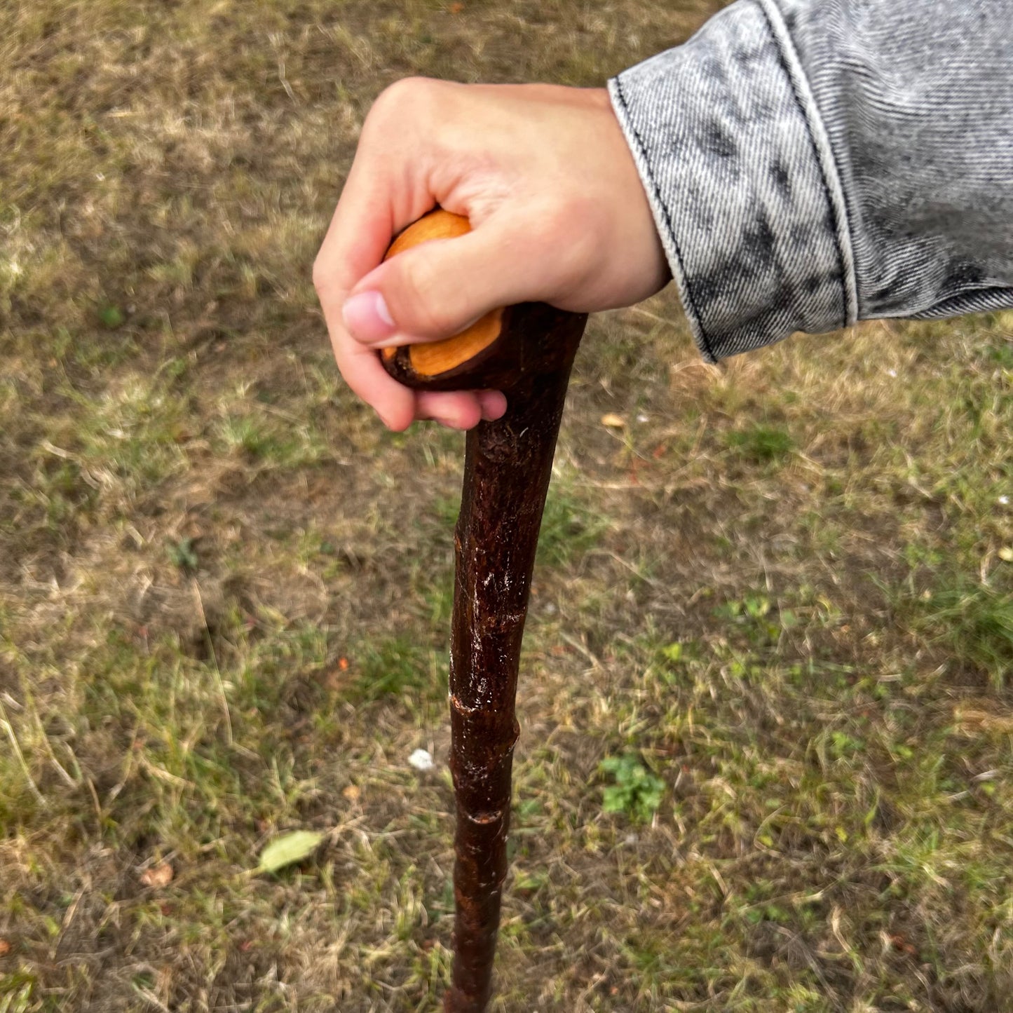 Chunky Knob Blackthorn Shillelagh – 94.3 cm (37.1”)