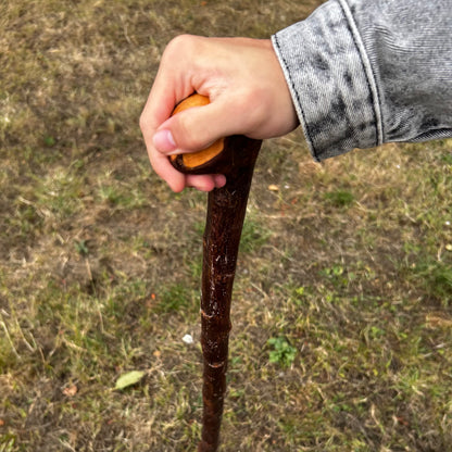 Chunky Knob Blackthorn Shillelagh – 94.3 cm (37.1”)