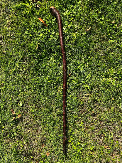 Nicky Knob Knuckle - Blackthorn Shillelagh