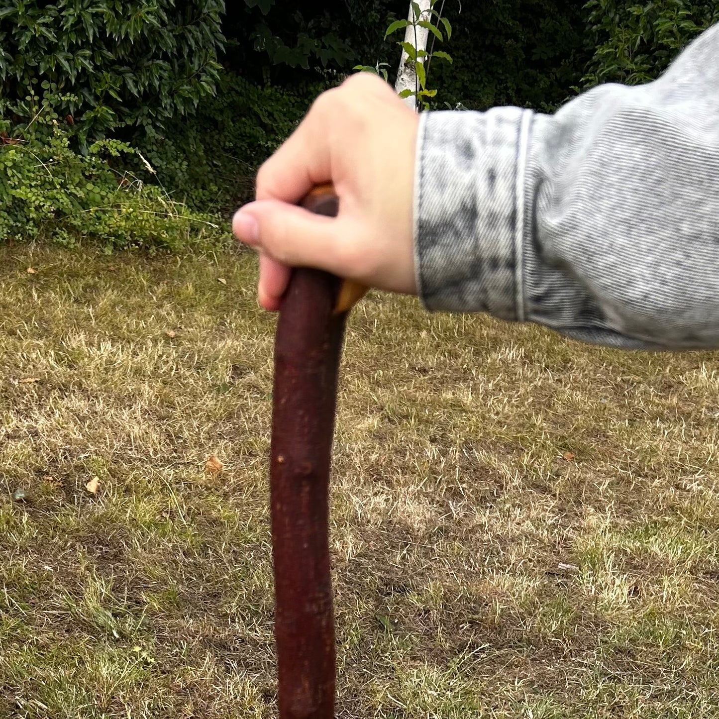 Traditional Blackthorn Shillelagh Small Knob Stick – 100.5 cm (39.6”)