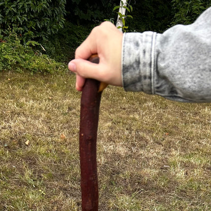 Traditional Blackthorn Shillelagh Small Knob Stick – 100.5 cm (39.6”)