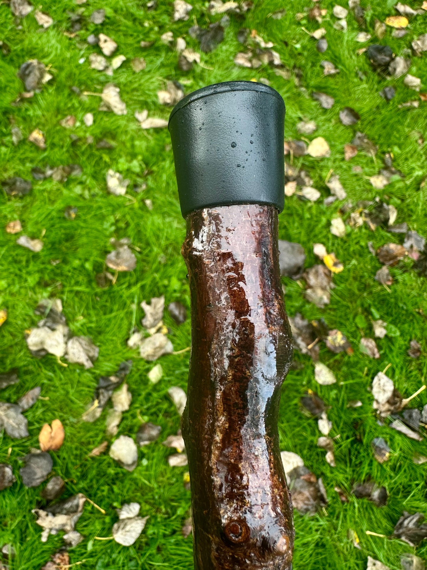 Irish Blackthorn Walking Stick with L Handle – 38”