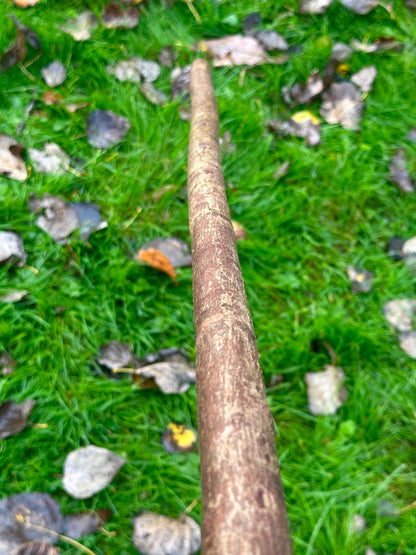 Irish Hazel Stick with Spalted Yew Head – 40”