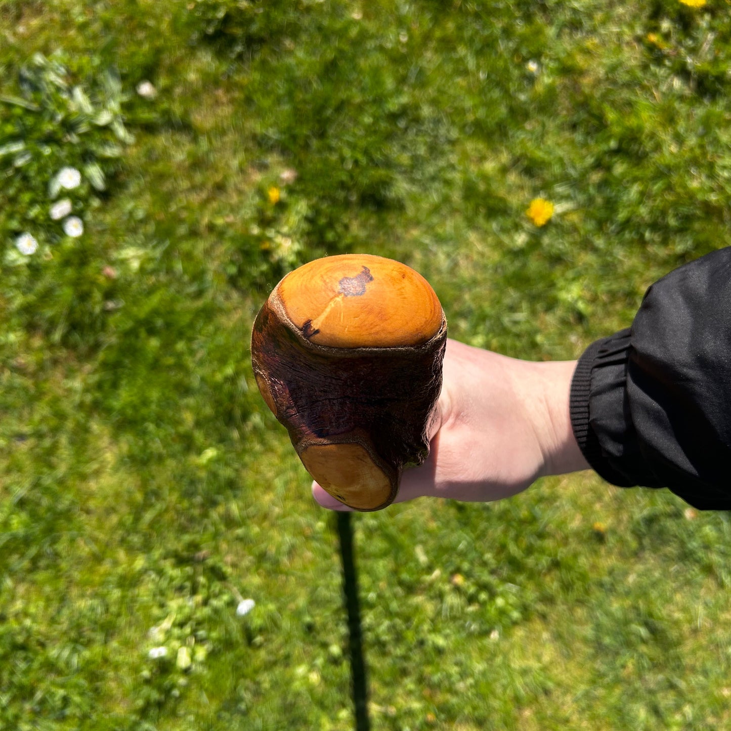 Blackthorn Root Ball Shillelagh – 90 cm (35.4”)