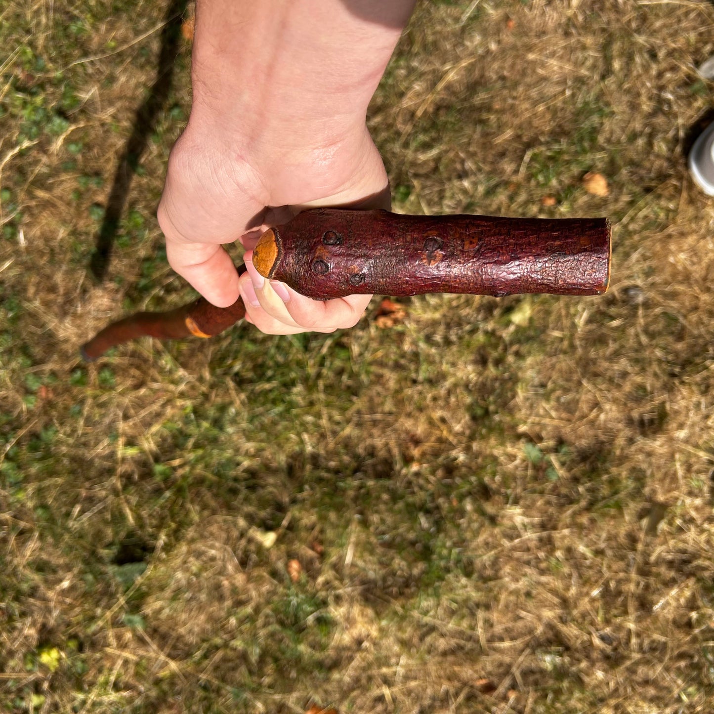 Blackthorn Shillelagh Sloped L Handle “Door Knocker” – 75 cm (29.5”)