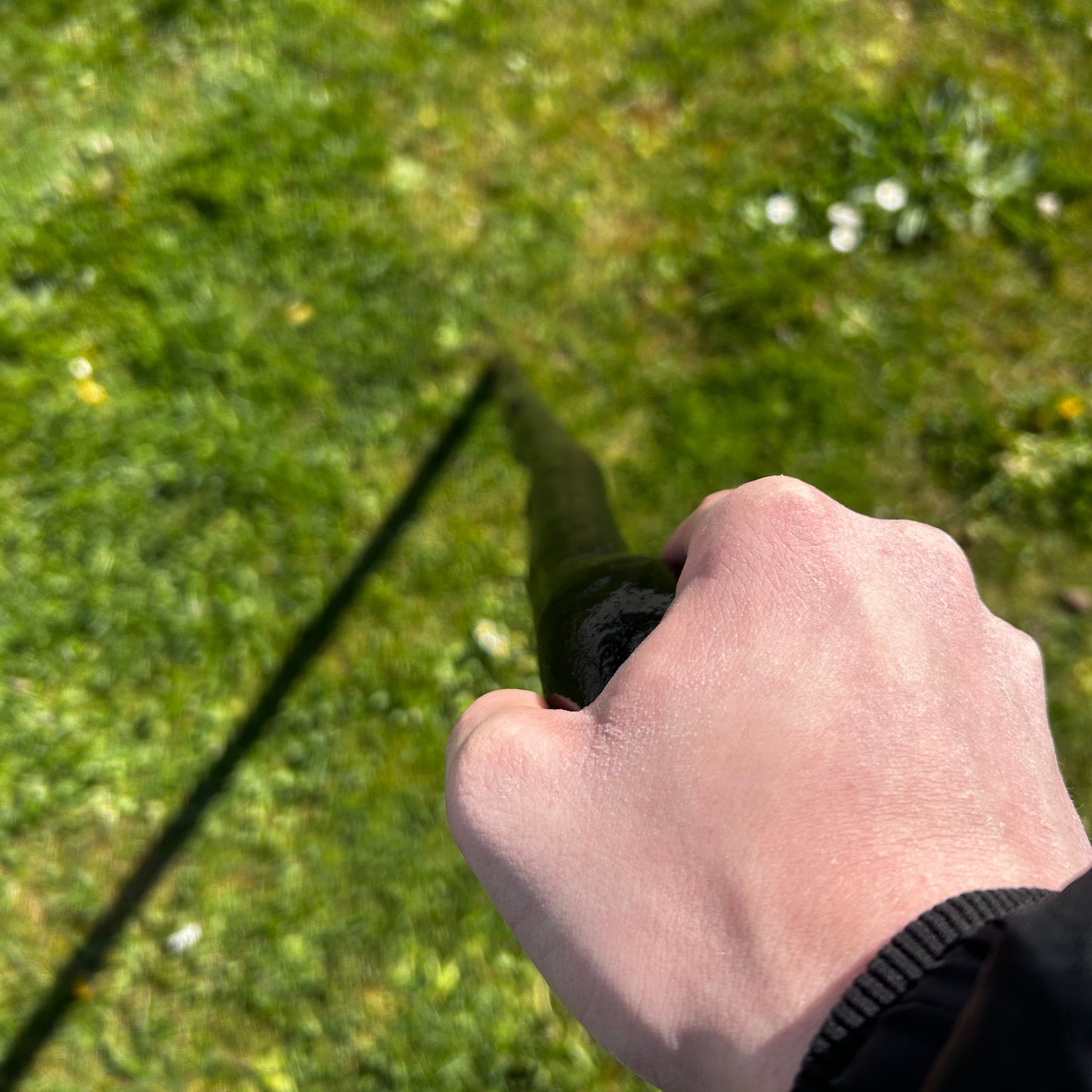 Blackthorn Shillelagh Full Black Finish – 106 cm (41.7”)