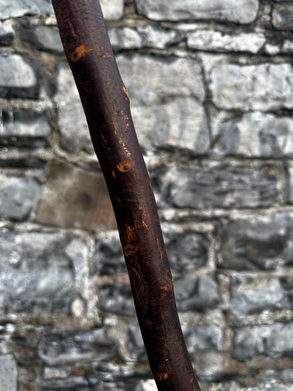 Blackthorn Walking Stick with Large L Handle – 101 cm (39.7”)