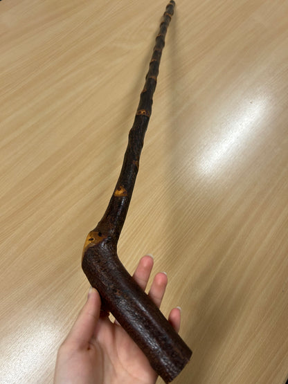 Bumpy Blackthorn Walking Stick with Sloped L Handle – 102cm