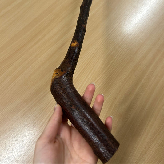 Bumpy Blackthorn Walking Stick with Sloped L Handle – 102cm