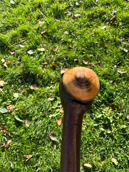 Blackthorn Walking Stick with Round Handle - 96 cm / 37.8 inches