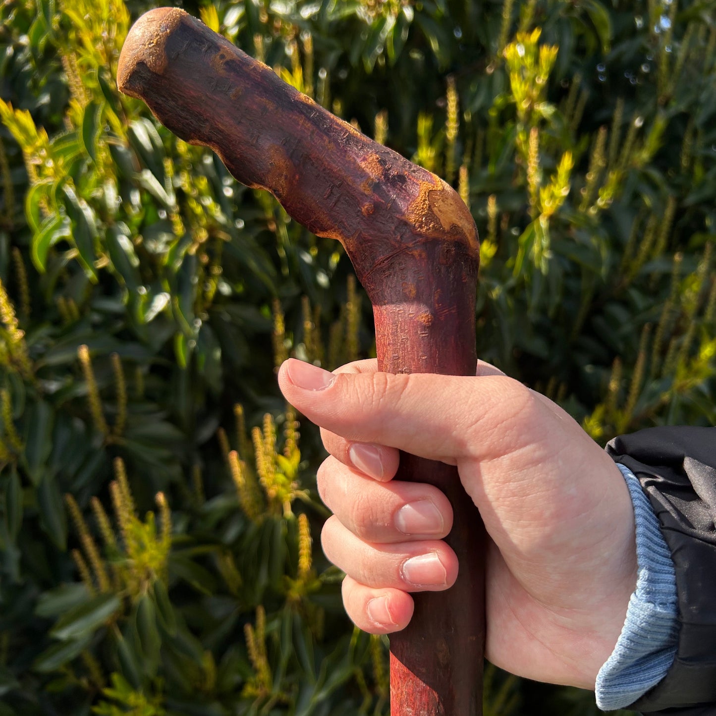 Heavy Blackthorn Shillelagh with Sloped L Handle – 102 cm (40.1”)