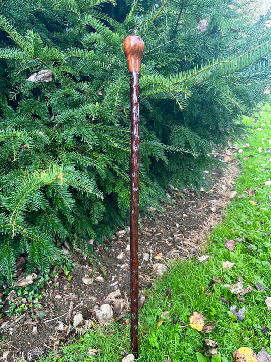 Blackthorn Stick with Spalted Beech Head – 39.5”