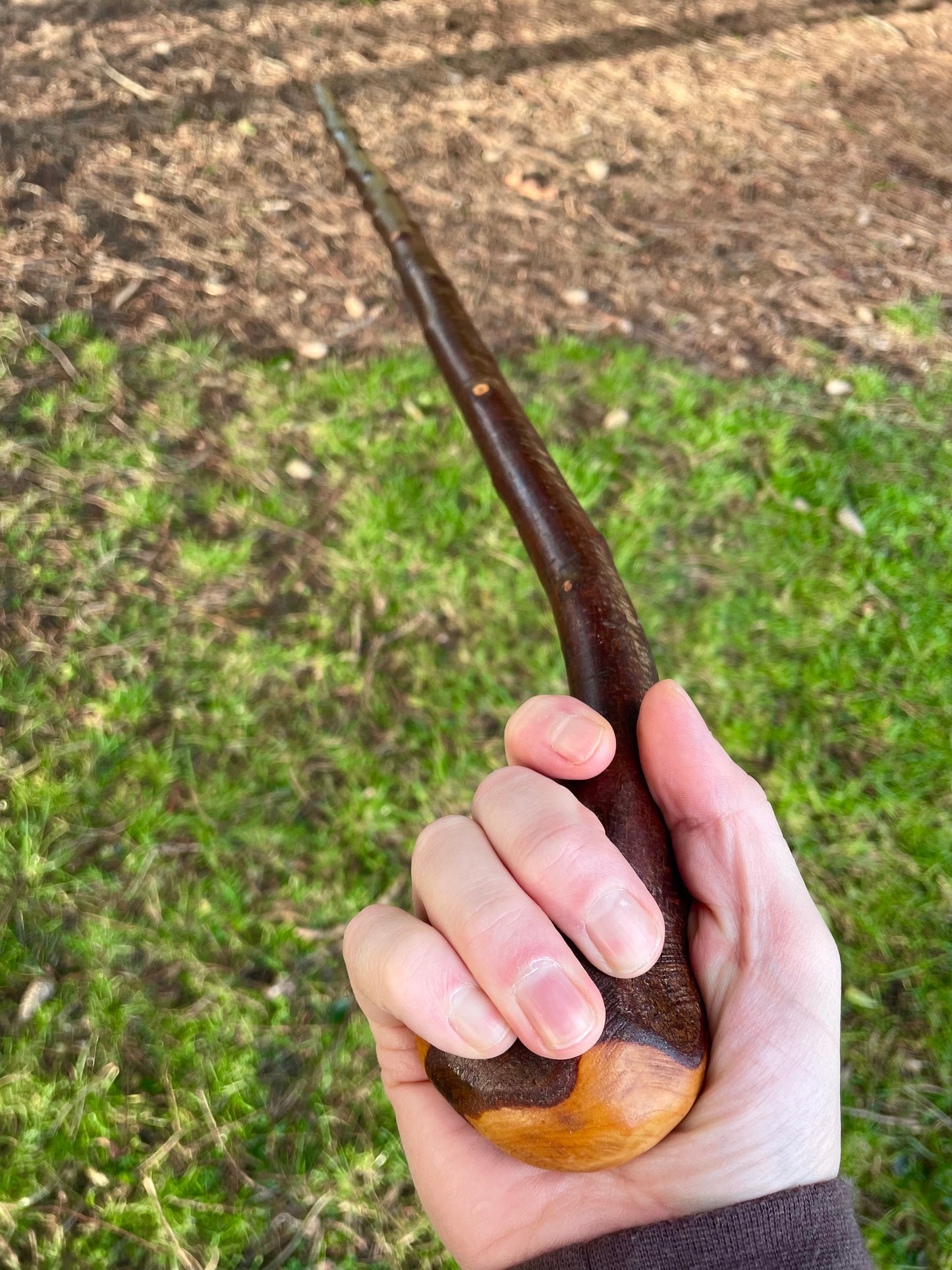 Blackthorn stick with knob