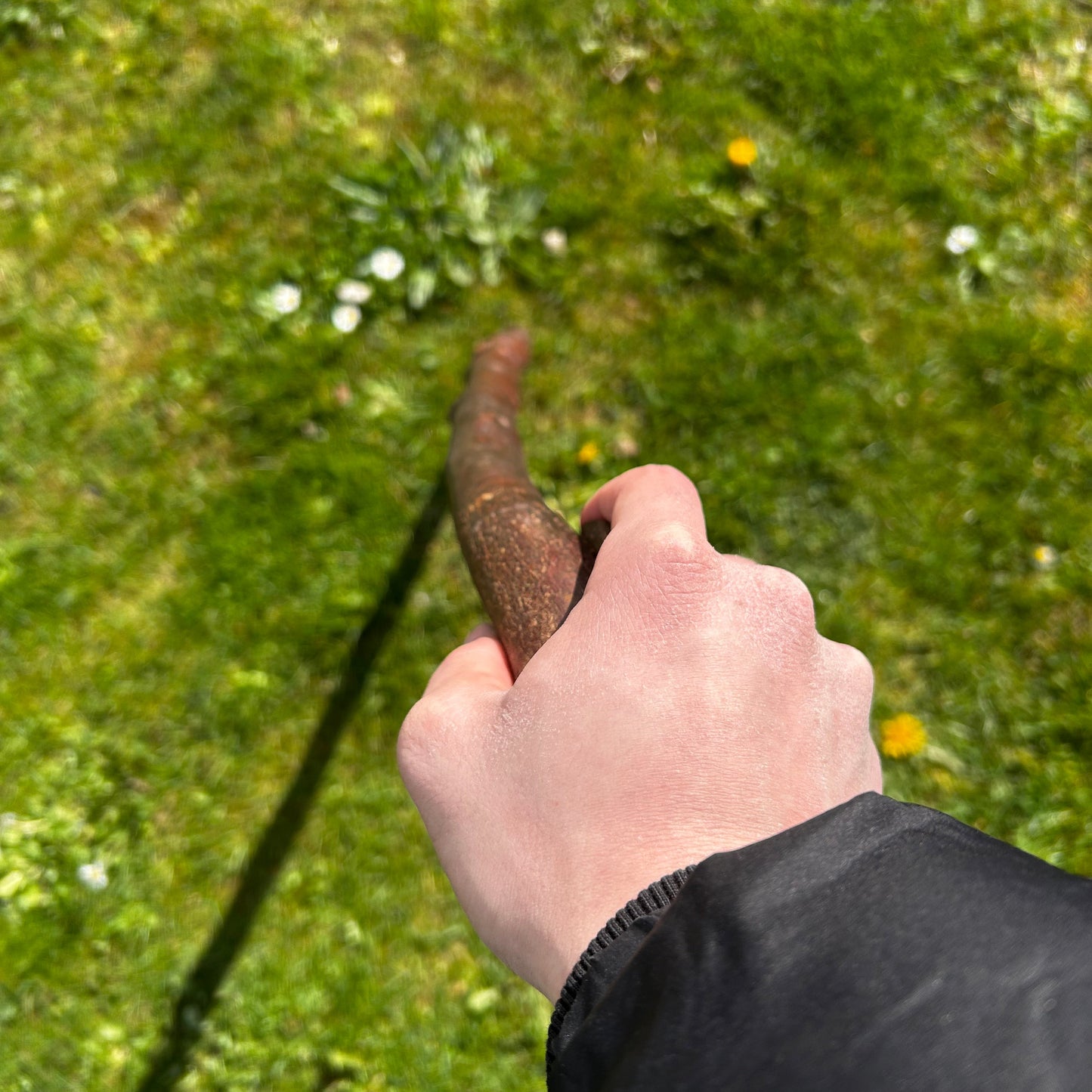 Blackthorn Root Ball Shillelagh – 100 cm (39.4”)