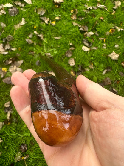 Irish Blackthorn Walking Stick – 40”