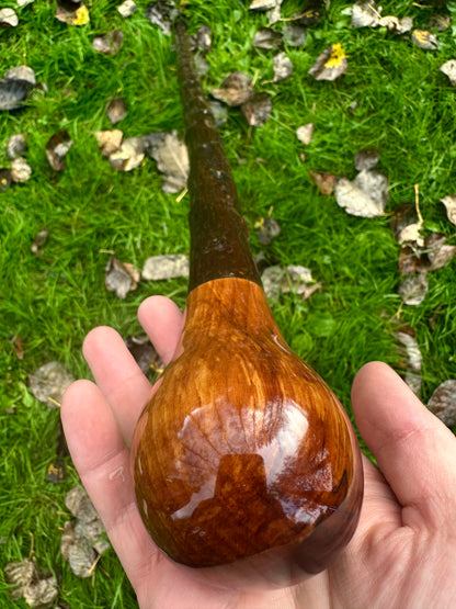 Blackthorn Stick with Spalted Beech Head – 39.5”