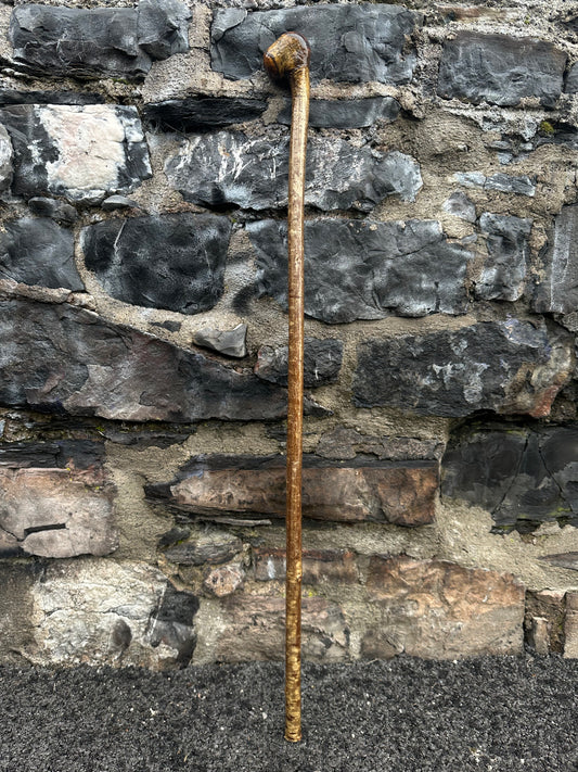 Hazel Walking Stick with Knob Finish – 100 cm (39.4”)