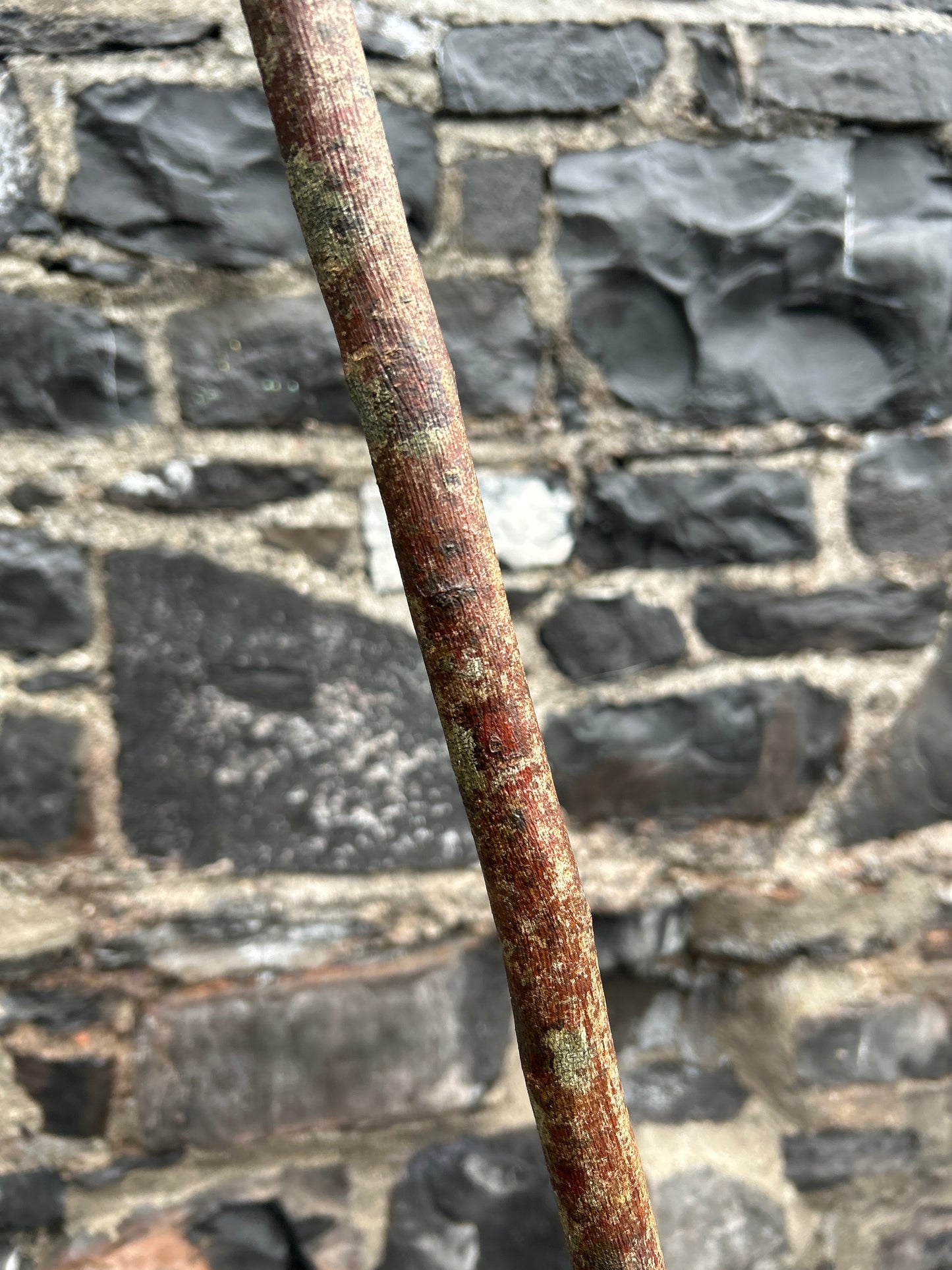 Raspy-Textured Hazel Walking Stick with Knob Head – 99 cm (39”)
