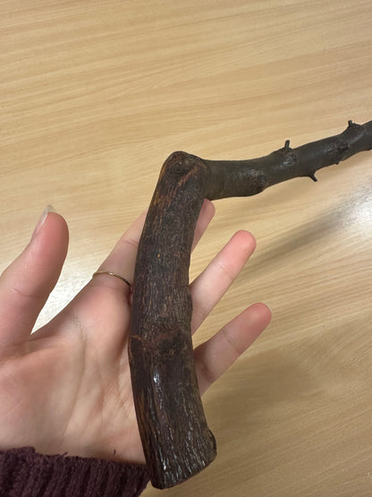 Light Thorny Blackthorn Stick with L Handle – 100cm