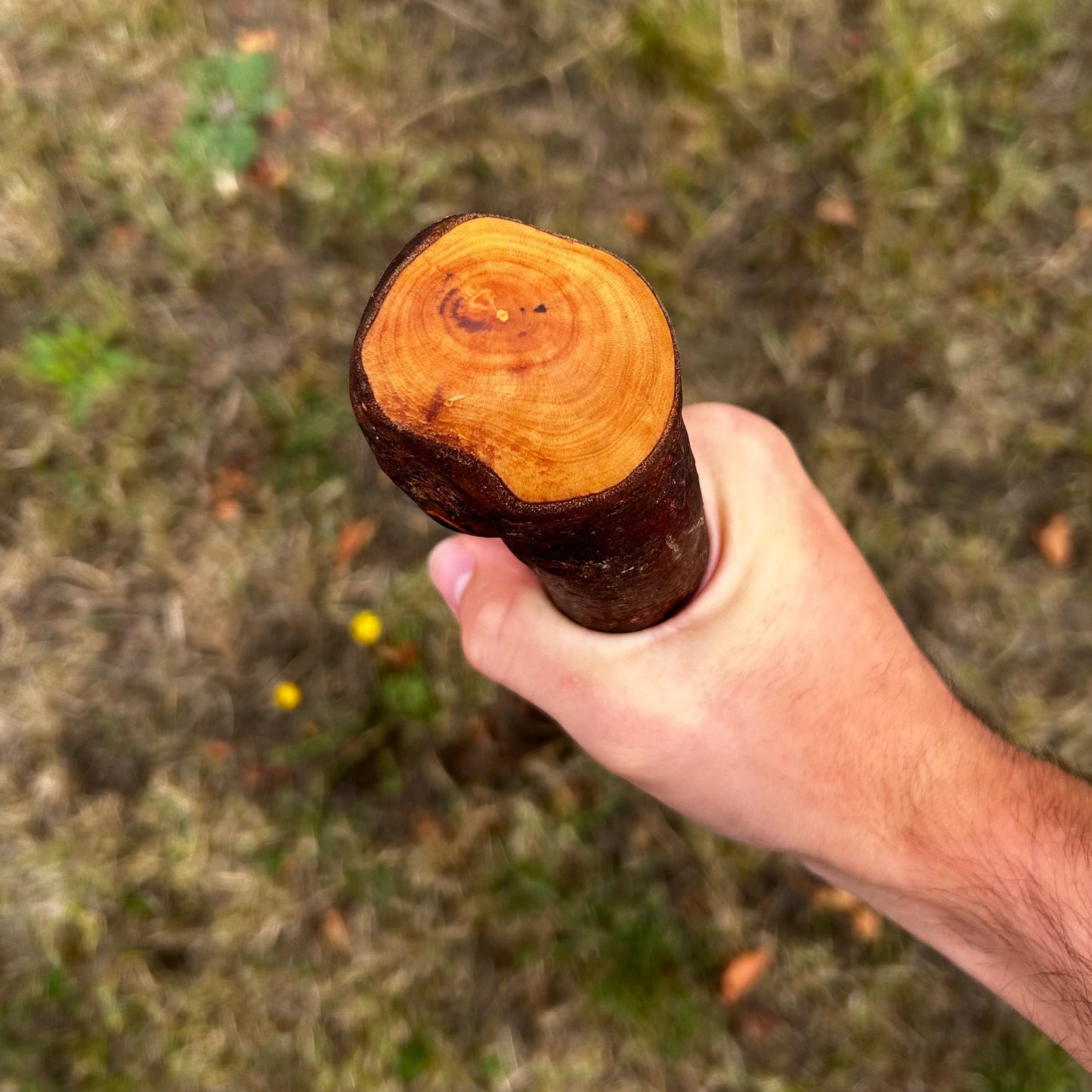 Chunky Blackthorn Shillelagh Knob Stick – 92.7 cm (36.5”)