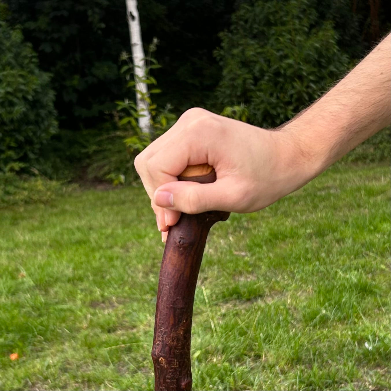 Blackthorn Shillelagh Knob Stick with Shoulder – 91 cm (35.8”)