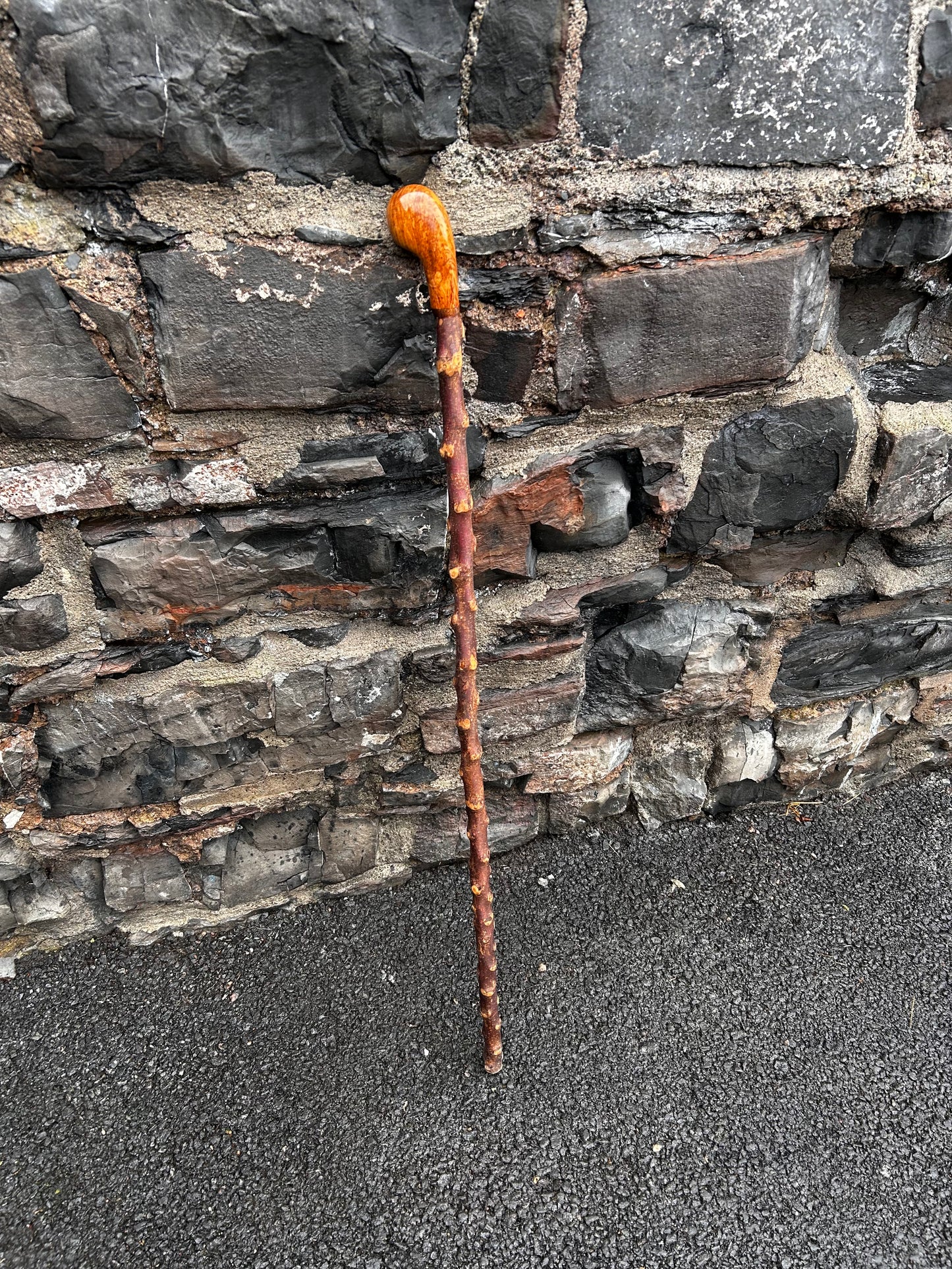 Blackthorn Shillelagh with Large Rugged Handle – 110 cm (43”)