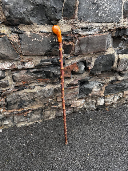 Blackthorn Shillelagh with Large Rugged Handle – 110 cm (43”)