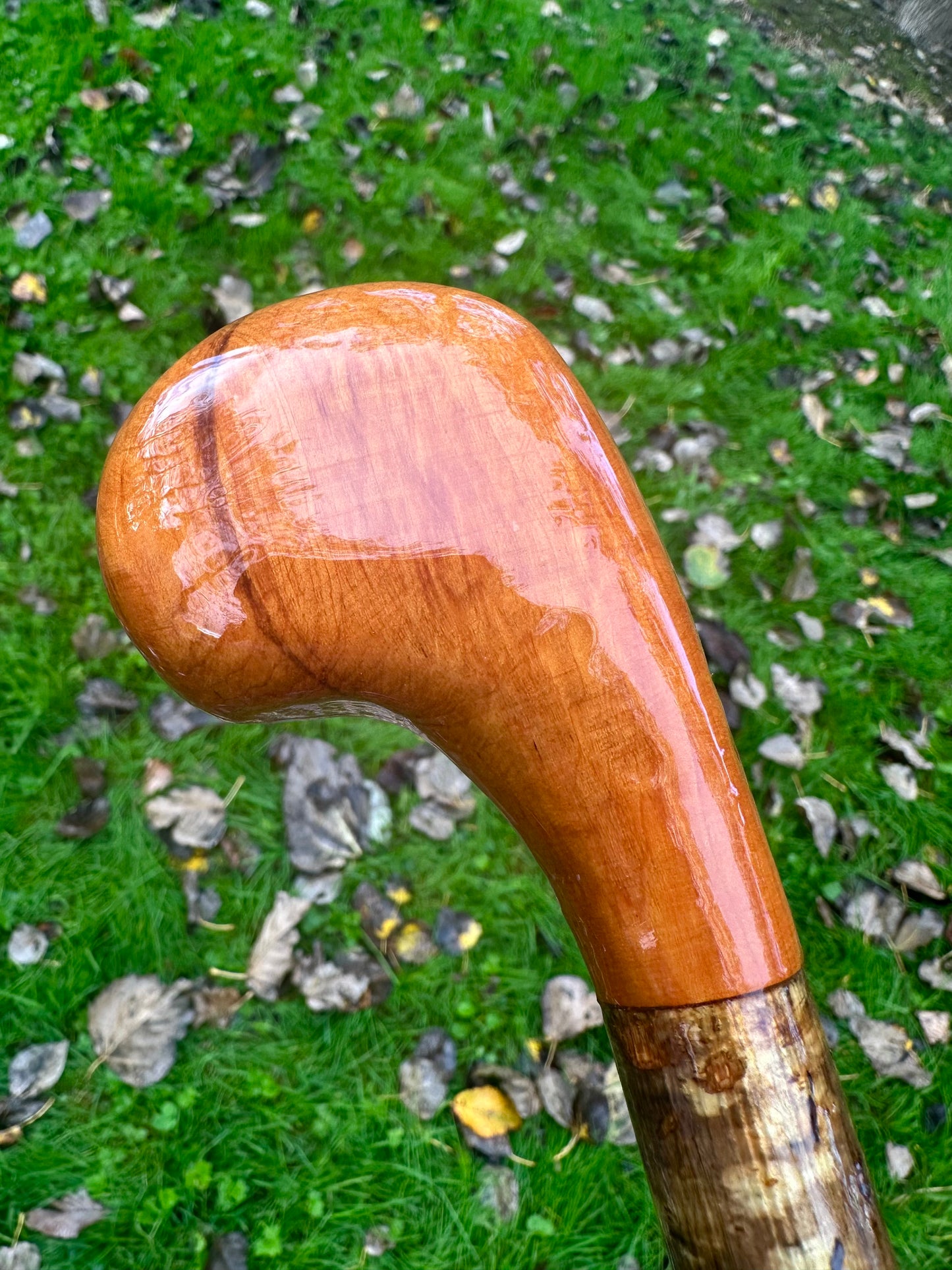 Hazel Walking Stick with Spalted Yew Head – 39.5”