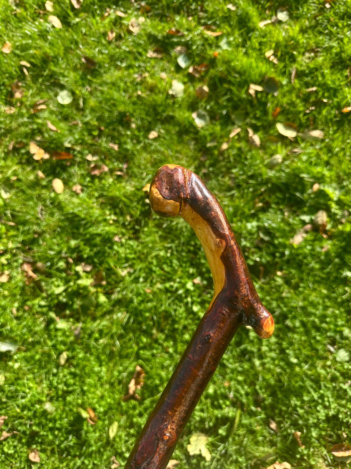 Blackthorn Walking Stick with L Handle and Doorknocker Feature - 120 cm / 47 inches