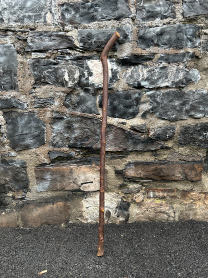 Sloped Blackthorn Hiking Stick – 103 cm (40.5”)