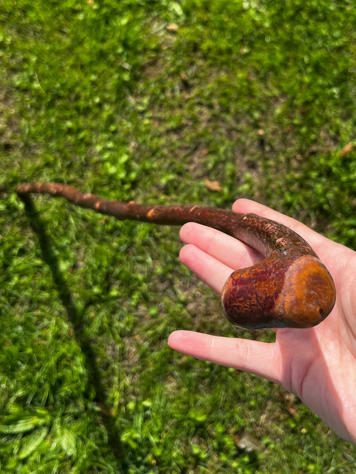 Blackthorn Shillelagh Small Knob Knuckle Stick – 92 cm (36.2”)