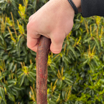 Blackthorn Shillelagh Smooth Knob Stick – 94 cm (37”)