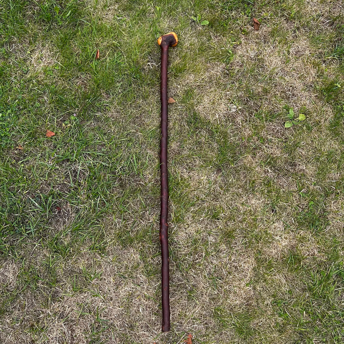 Unusual Chunky Knob Blackthorn Shillelagh – 95 cm (37.4”)
