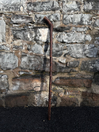 Blackthorn Walking Stick with Large L Handle – 101 cm (39.7”)