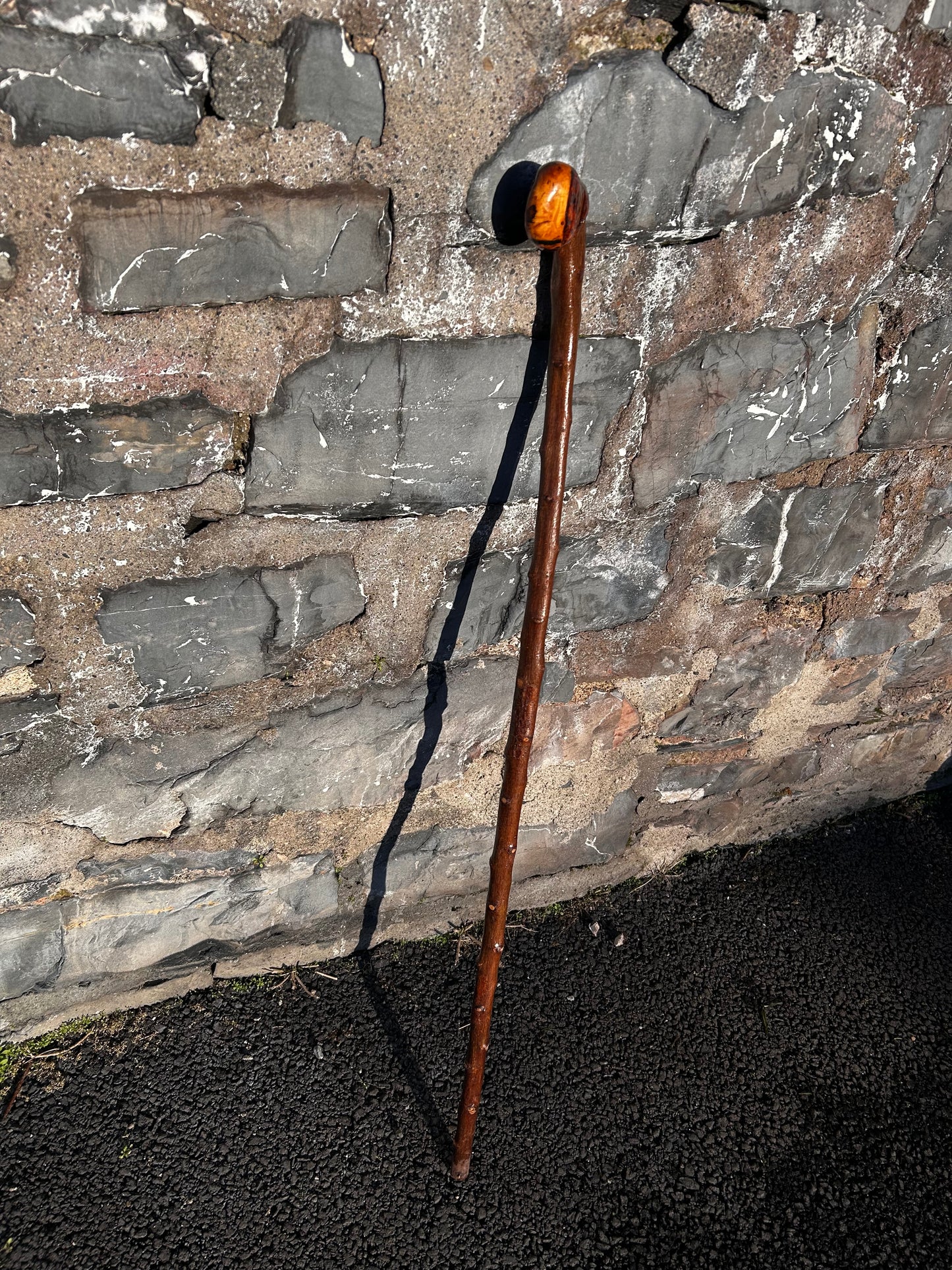 Blackthorn Knob Walking Stick – 100 cm / 39 inches
