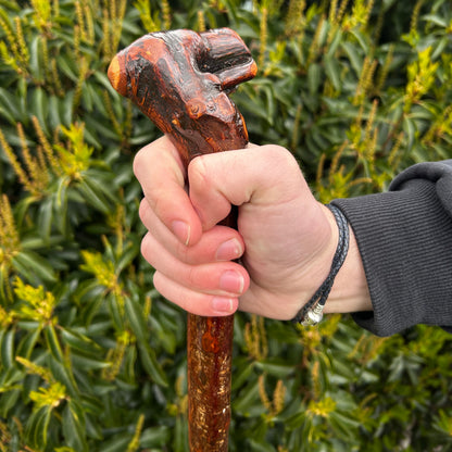 Luxury Blackthorn Shillelagh Root Ball Knob Stick – 101 cm (39.7”)