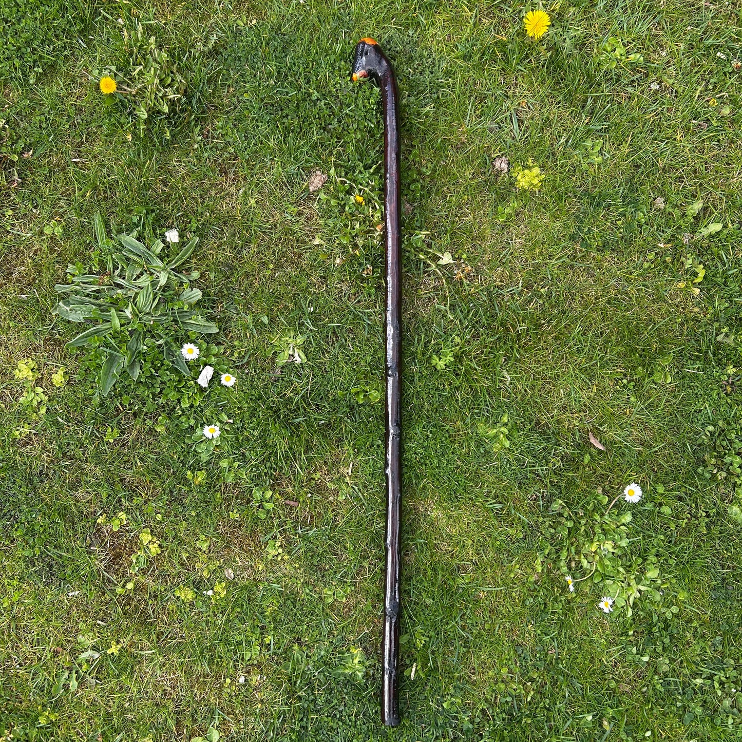 Blackthorn Shillelagh with Varnish Finish – 95 cm (37.4”)