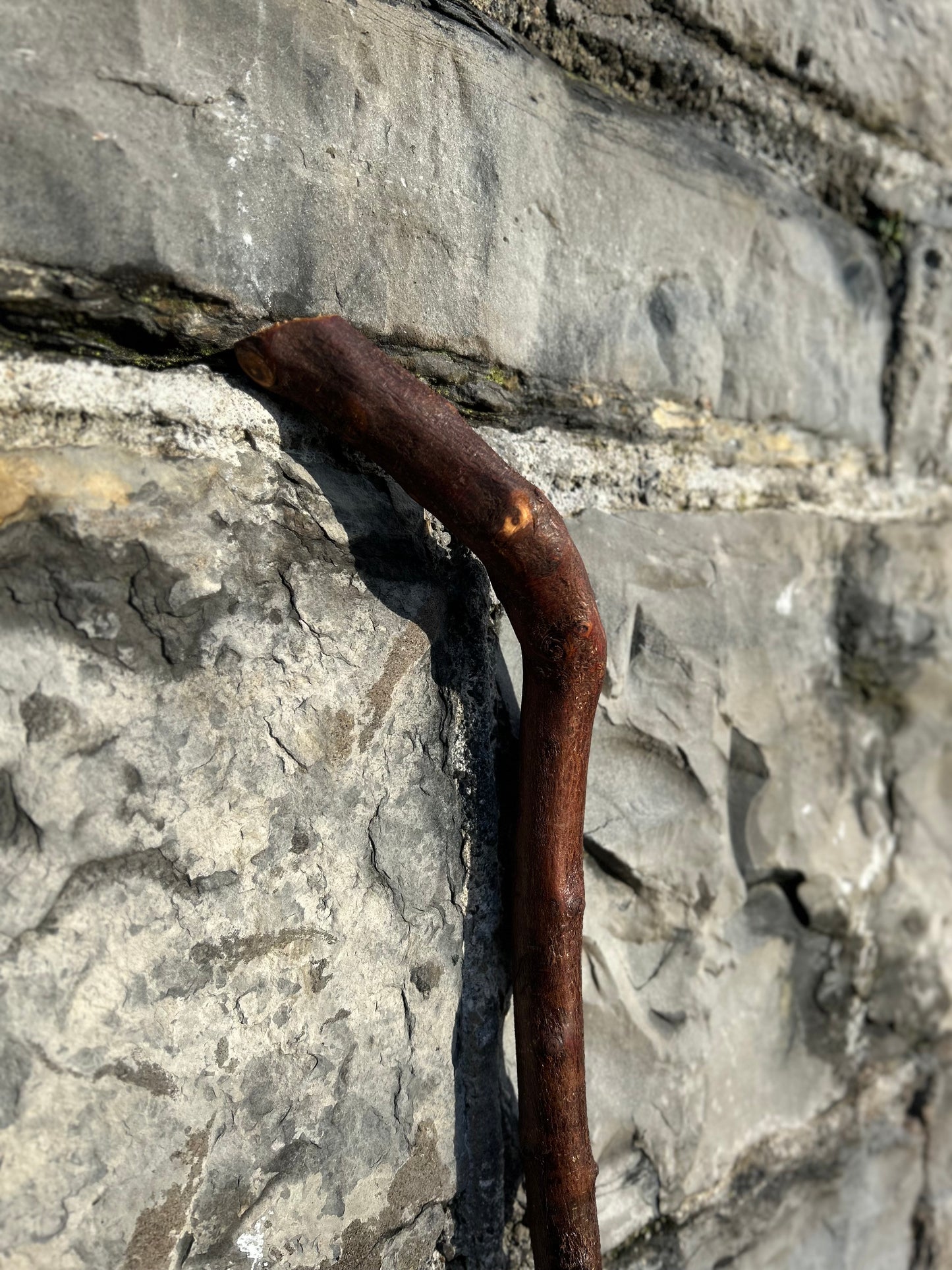 Blackthorn Walking Stick with 45° L Handle – 90 cm (35.4”)